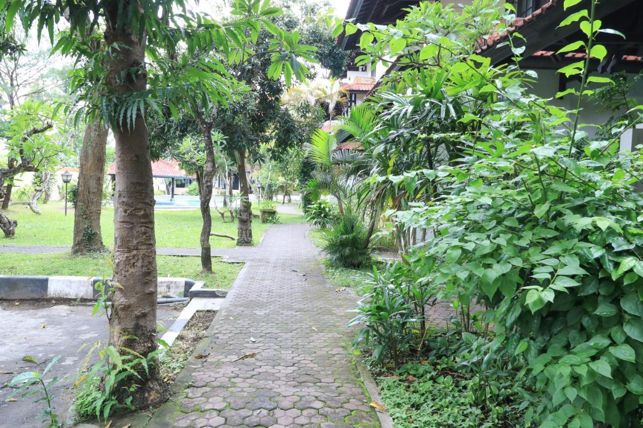 Hotel Oranjje Denpasar  Luaran gambar